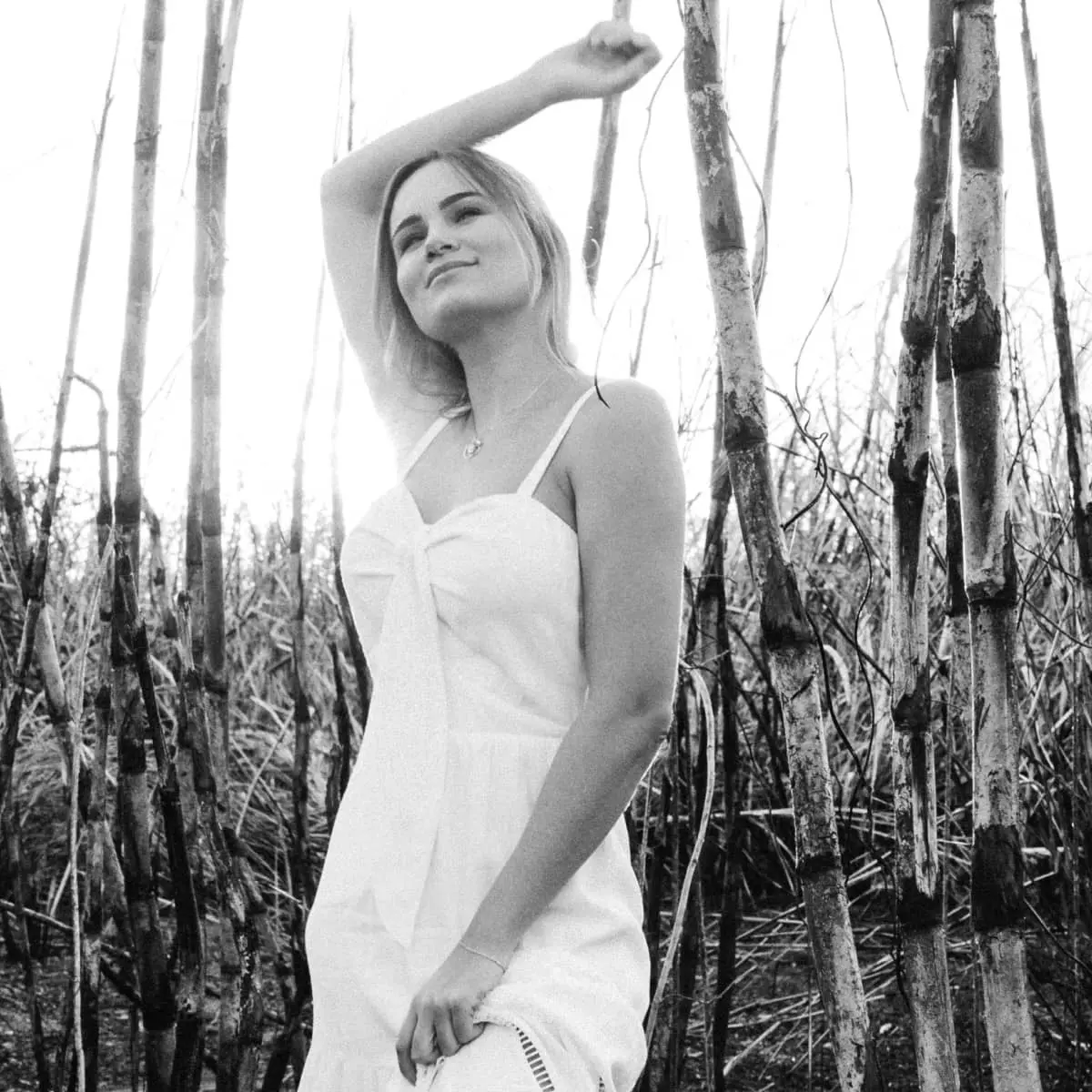 This is a Sample Post #2